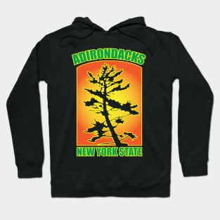 Adirondacks Hoodie